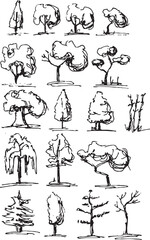 Hand drawn Sketch  Trees vector illustration