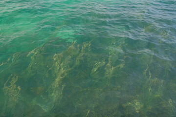 Fototapeta premium Clear turquoise water showing underwater seaweed patterns