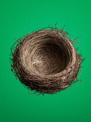 a bird nest on green background