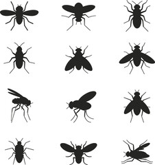 Fly insect silhouette set showing housefly, mosquito, bug black vector icons collection isolated on white background