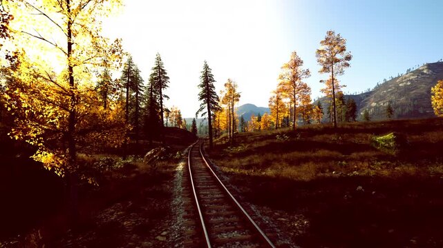 warm golden hour on railway track through birch and pine, lone wanderer walking toward glowing horizon, serene rural escape with textured grass and long shadows