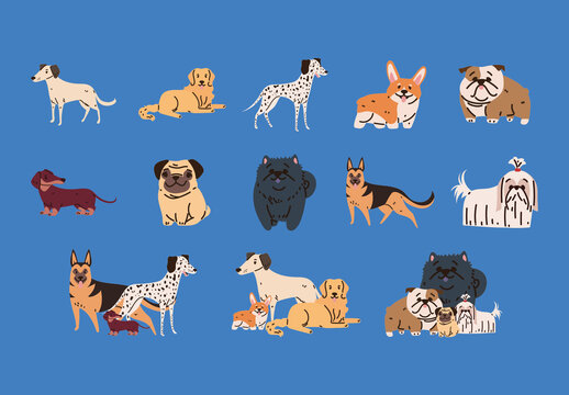 Colorful Dog Pet Animal Breed Funny Illustrations Set