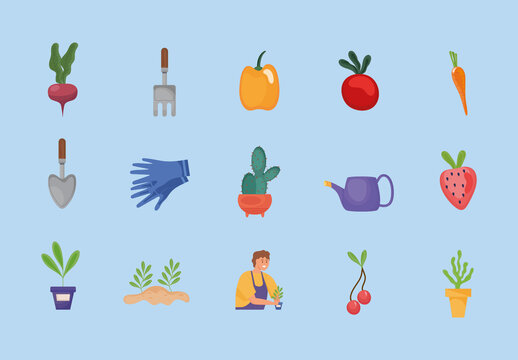 Colorful Gardening Tools Vegetables Plants Illustrations Set