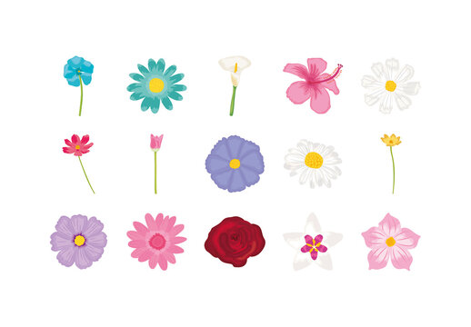 Colorful Spring Floral Botanical Nature Illustrations Set