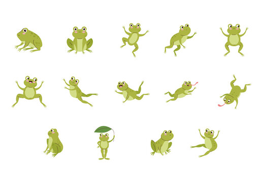 Cute Frog Illustrations Set
