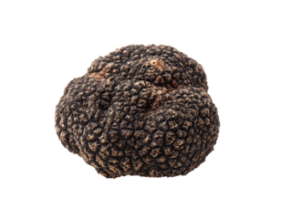 A luxurious truffle, a culinary delight, presented in all its earthy glory Isolated Transparent Background, PNG