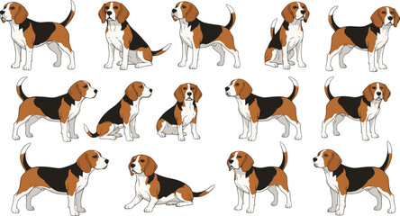 Beagle dog character collection vector illustration set featuring cute cartoon beagles in different poses for pet, animal, and mascot designs