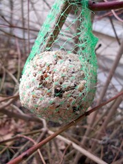 Fat cake with seeds for birds