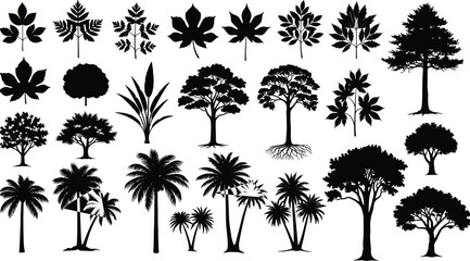 Large set of black tree and leaf silhouettes, isolated vector illustrations of palms, deciduous trees, and 
