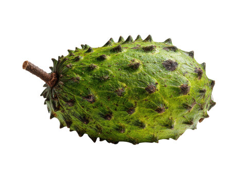 A close-up shot of a soursop fruit, showcasing its unique spiky texture and vibrant green color Isolated Transparent Background, PNG