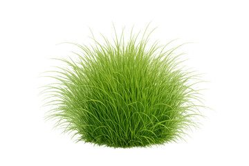 Green grass bush or tuft of plant foliage, growing fresh nature decoration element on transparent background