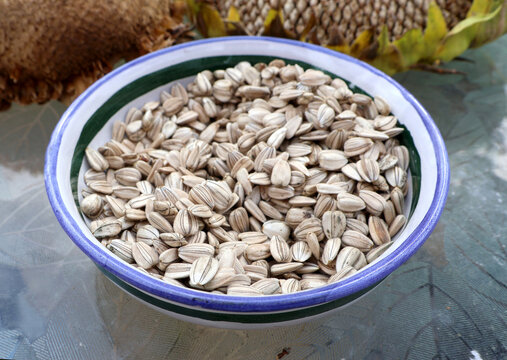 Harvested sunflower seeds in a bowl with seed heads in background