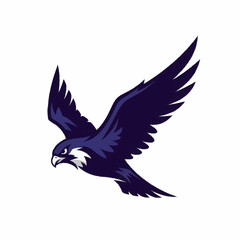 Obraz premium Majestic dark blue falcon soaring with wings spread wide.