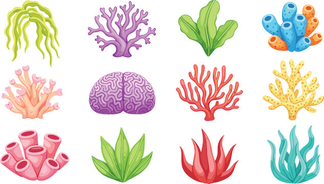 Colorful coral reef and sea plants icons set with marine underwater elements vector illustration