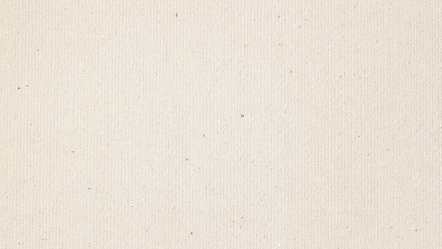 Paper texture background. Neutral recycled paper texture with subtle fibers and natural surface details. Natural background designed for paper mockup design use