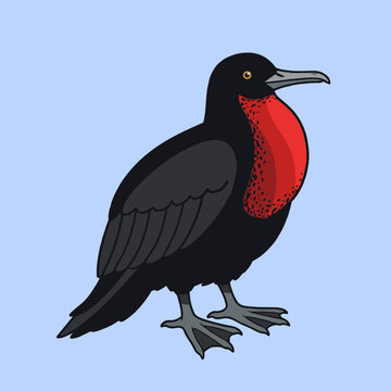 Cute Black Frigate Bird With Red Neck Pouch Flat Design Vector Illustration