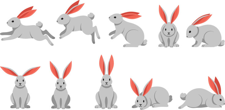 Cute rabbit character poses illustration set with running sitting jumping bunny cartoon vector design