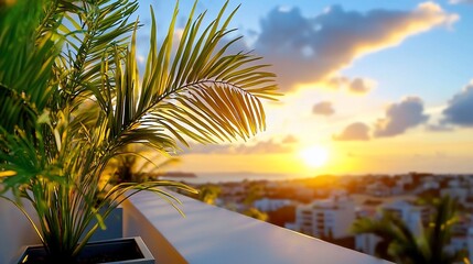 Golden Hour Palm Tropical Sunset View from Balcony with Cityscape.