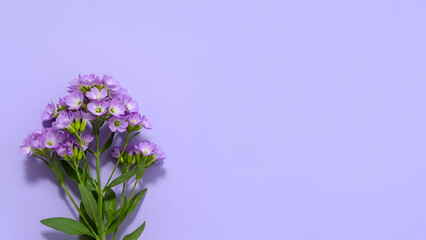 Fototapeta premium Woman's day inspiration beautiful purple flowers for empowerment and self love