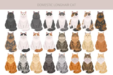 Domestic longhair Cat clipart. All coat colors set. Vector illustration © a7880ss