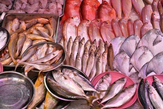 Hong Kong Causeway Bay street market fish shop. Sardines, snappers, Indian mackerels (bigmouth mackerel) and pomfret fish.