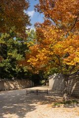 Autumn in Changdeokgung Palace in Seoul © 박효철