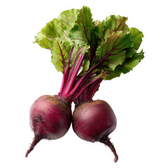 Fresh beets with leafy tops in two bunches, deep magenta roots with earthy soil texture, long stems, and crisp green leaves attached isolated on transparent background.