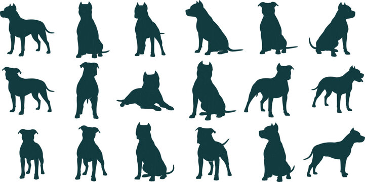 Black Pitbull and Staffordshire Terrier Dog Silhouettes Set with Sitting Standing and Lying Down Profiles Isolated on White Background for Pet Canine Vector Graphic Design
