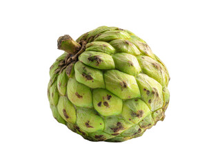 Fototapeta premium A close-up of a delicious and fresh custard apple fruit Isolated Transparent Background, PNG