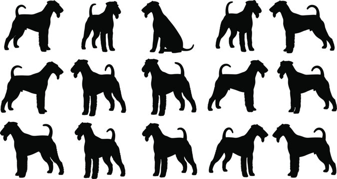 Black Terrier Dog Silhouettes Set with Airedale and Fox Terrier Profiles Standing and Sitting Isolated on White Background for Pet Wildlife Vector Design