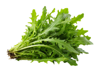 Fresh Arugula Greens presented on display Isolated Transparent Background, PNG