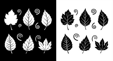 Obraz premium Artistic Monochrome Leaf Graphics Diverse Botanical Silhouettes with Swirl Accents