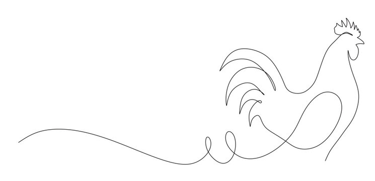 Continuous line art of a rooster. This image is for a banner for a chicken shop or chicken meat shop or even a fried chicken restaurant. Vector illustration