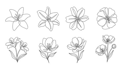 Set of eight different flower sketches including lilies and tulips shown in minimalist monochrome line art on white.
