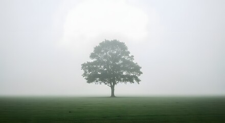 Obraz premium An isolated tree stands alone in the vast, ethereal embrace of a dense morning fog, portraying a serene landscape of quiet solitude and profound natural beauty, perfect for contemplation