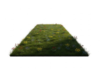 잔디밭 위에 다채롭게 피어나는 야생화들