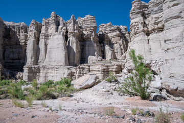 Fototapeta premium A rocky desert landscape with a lone tree in the foreground