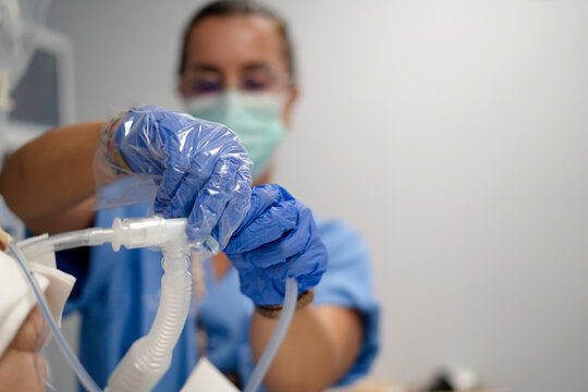Nurse adjusting ventilator tubing for intubated patient