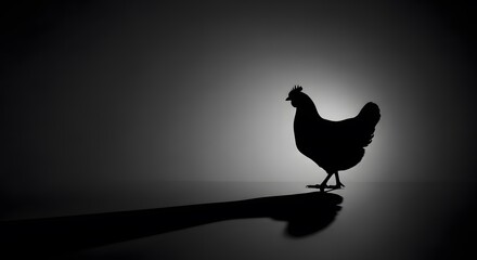 Silhouette of chicken in dark