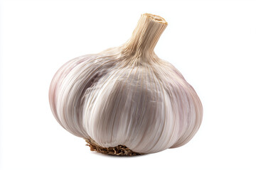 Fresh Whole Garlic Bulb with Natural Papery Skin Texture - Culinary and Cooking Ingredient Close-Up