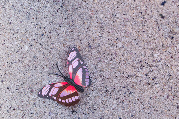 Naklejka premium Butterfly Resting on Sand Symbolizing Transformation, Hope, and New Beginnings