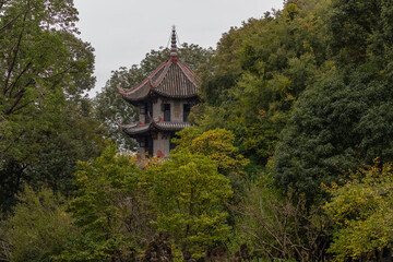 japanese temple in the forest