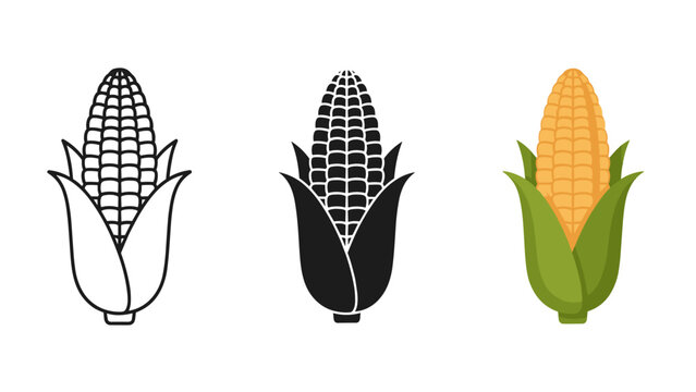 Collection of three corn on the cob illustrations outline silhouette and colorful vector art