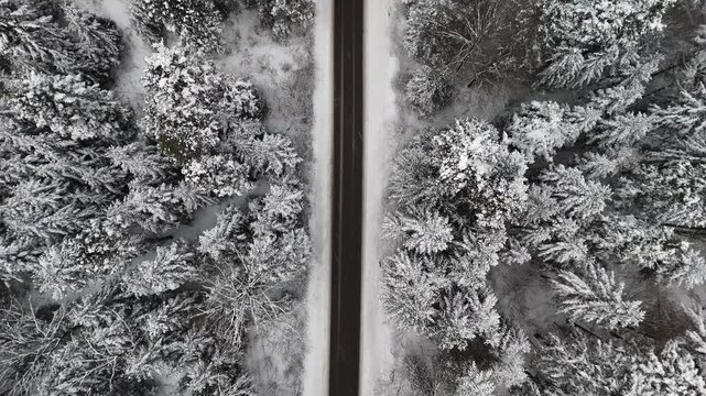 Top down aerial view of winter road cutting through snowy forest. Symmetrical composition with frozen trees and snow covered ground.
