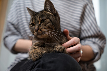 Close-up of a young сaucasian woman hugging a cute, friendly, fluffy domestic cat. Pet, animal.