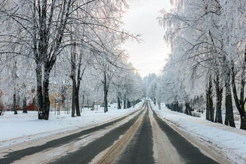 Snow-covered road lined with frosted trees, creating a serene winter landscape in a rural area, with a clear sky and soft lighting illuminating the scene