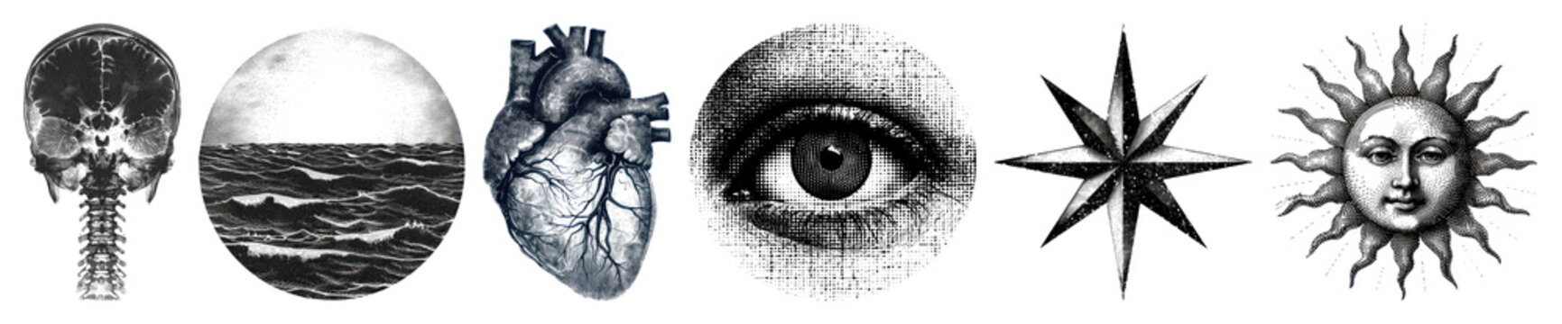 PNG Vintage celestial and anatomical illustrations, element set on transparent background