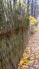weaved wooden fence