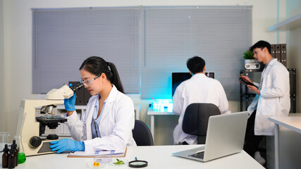 Fototapeta premium A female scientist using a microscope for research in a modern lab. She is focused and dressed in a lab coat, gloves, and safety glasses