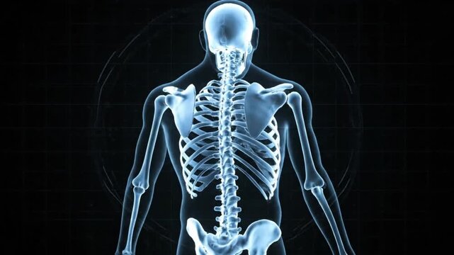 Human skeleton in x-ray view with glowing blue bones